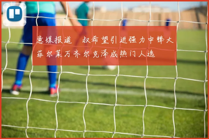 意媒报道囧叔希望引进强力中锋大菲尔莱万齐尔克泽成热门人选
