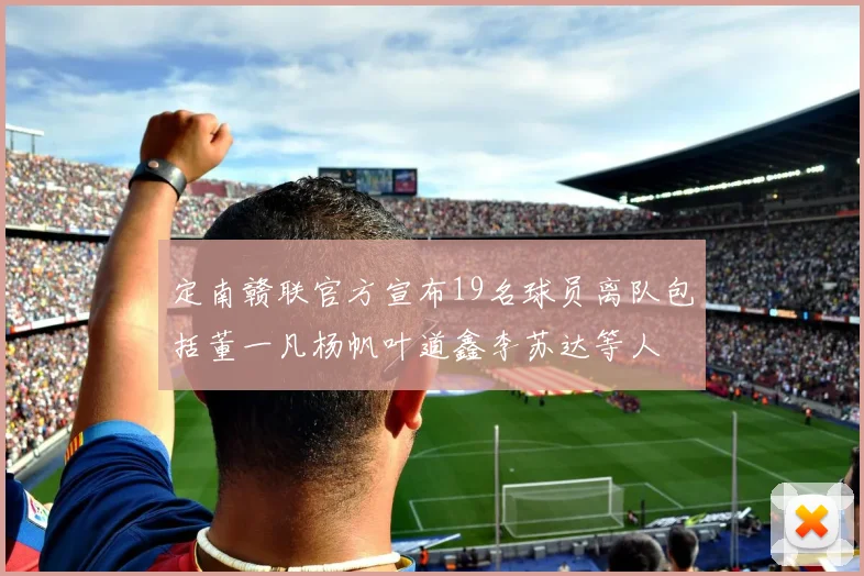 定南赣联官方宣布19名球员离队包括董一凡杨帆叶道鑫李苏达等人