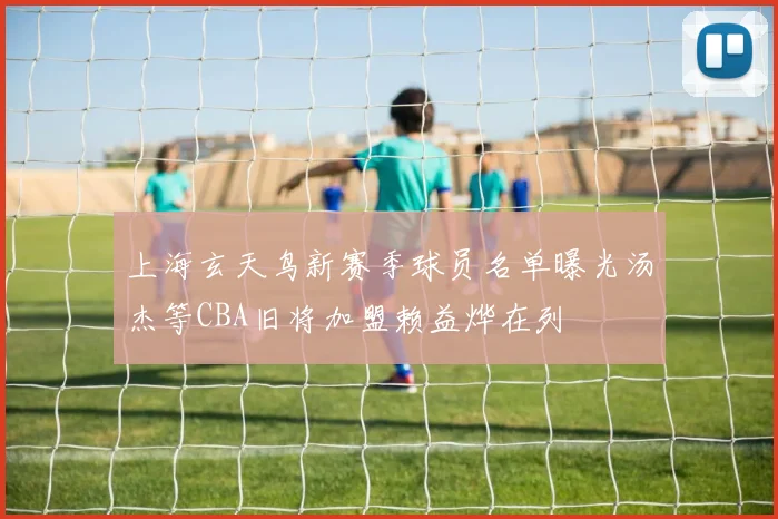 上海玄天鸟新赛季球员名单曝光汤杰等CBA旧将加盟赖益烨在列
