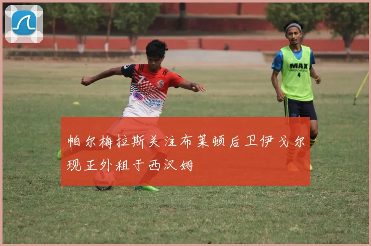 帕尔梅拉斯关注布莱顿后卫伊戈尔现正外租于西汉姆