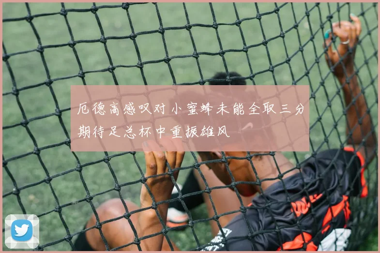 厄德高感叹对小蜜蜂未能全取三分期待足总杯中重振雄风